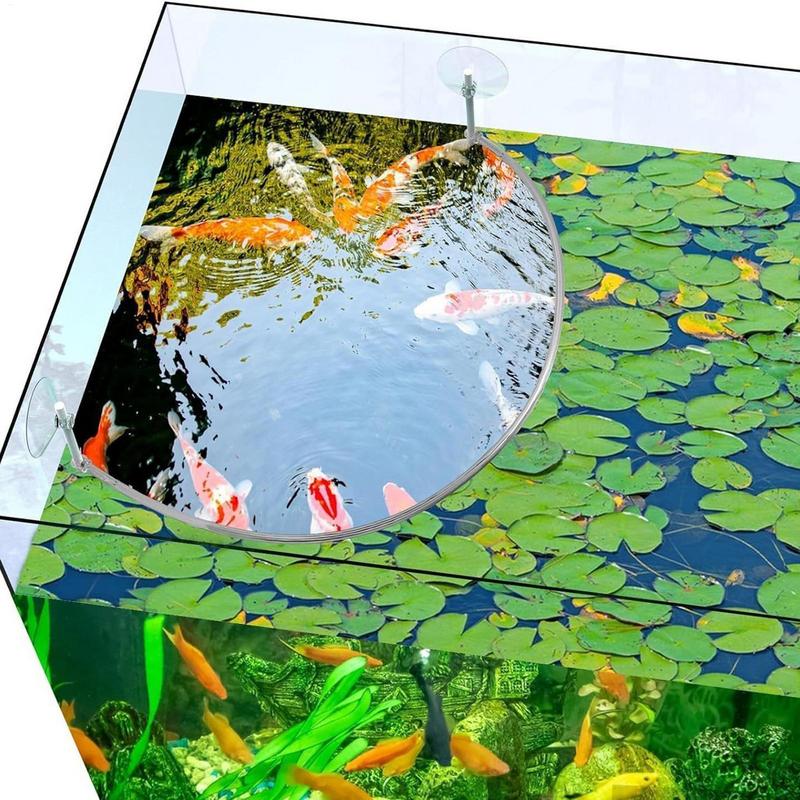 Floating Plant Corral Fish Fee - đánh giá và giá Planted Aquarium Equipment