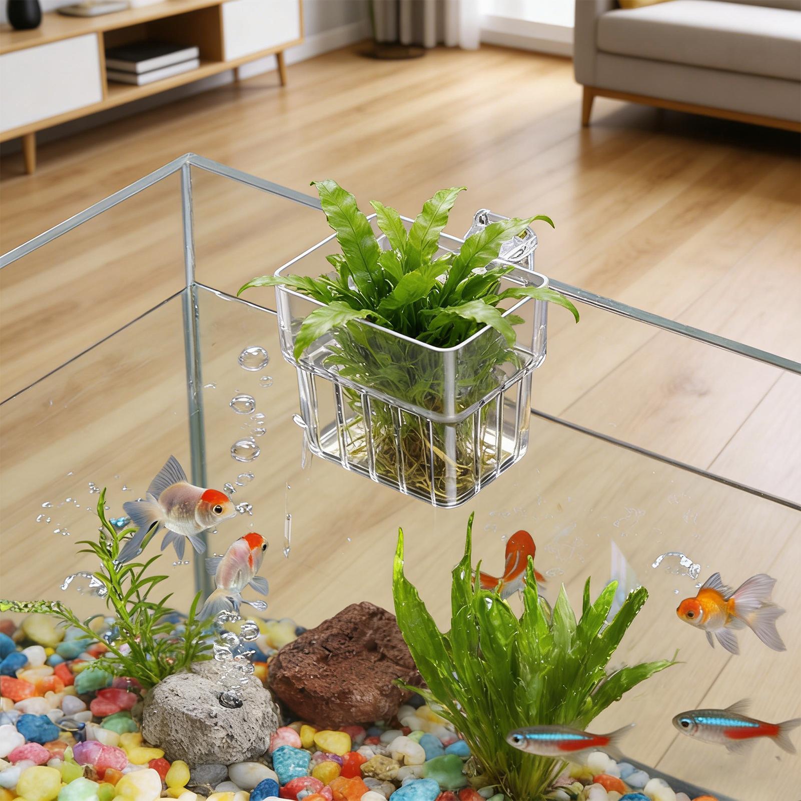 Aquarium Transparent Hanger Po - đánh giá và giá Aquarium Plant Growth