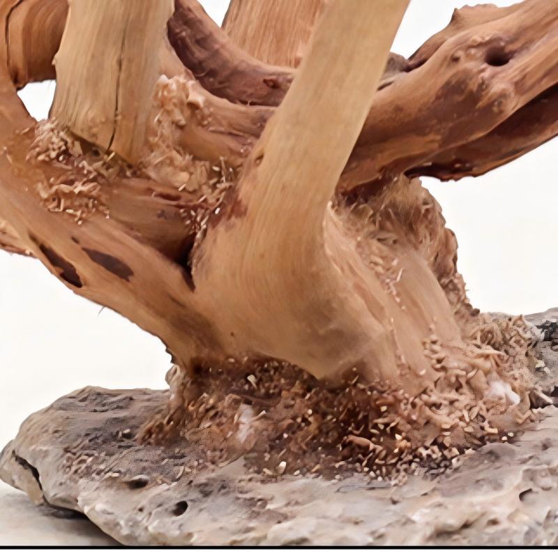 1 Bể Cá Cảnh Quan Gỗ Đồ Trang  - đánh giá và giá Aquarium Plant Root Tabs