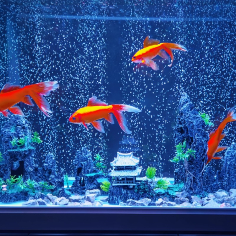 Aquarium Decor Stone Rockery C - đánh giá và giá Aquarium Plant Root Tabs