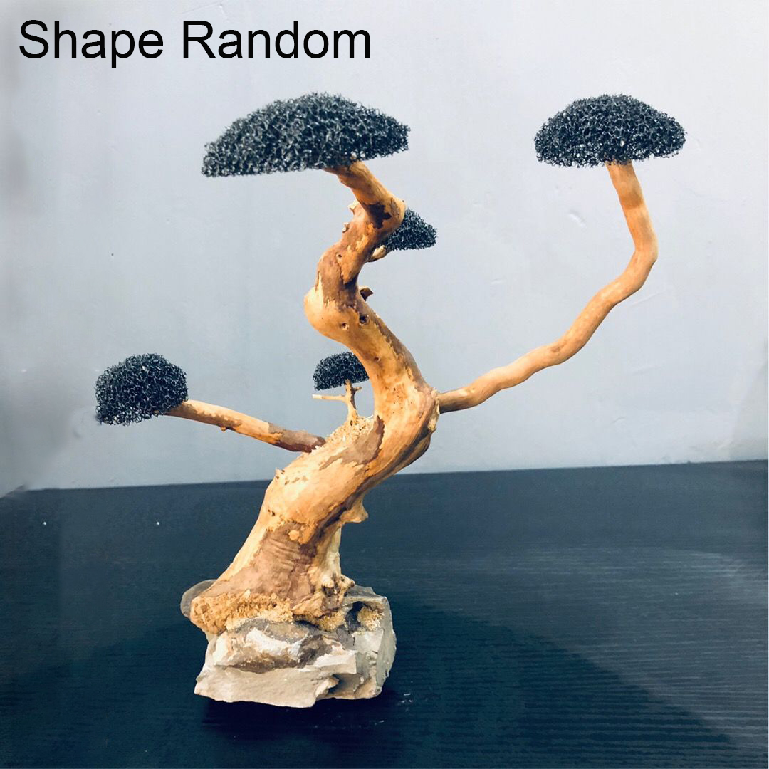 Bể Cá Cảnh Rêu Cây Gỗ Trôi Cá  - đánh giá và giá Aquarium Plant Root Tabs
