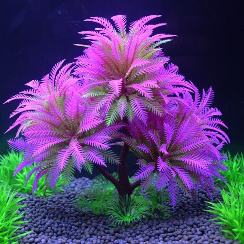 Aquarium Decorative Simulation - đánh giá và giá Aquarium Plant Guide