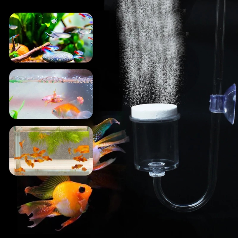 4pcs Set DIY CO2 Diffuser For  - đánh giá và giá Planted Aquarium Kit